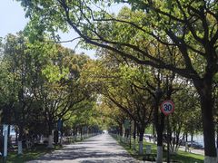 -东钱湖小普陀景区