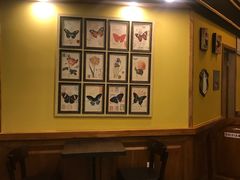 -多克多蒸气茶DOKDO(鼓楼绿地店)