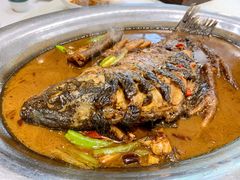 功夫大鲤鱼-大地烙馍村(商城路店)