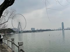 -无锡蠡湖国家湿地公园-蠡园