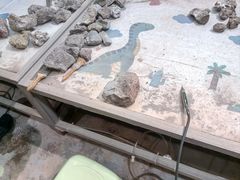 -世界恐龙谷景区