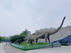 -安徽省地质博物馆