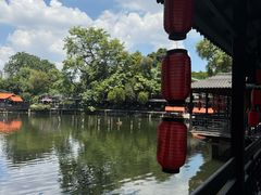 -侨美·唐荔园·40年地道粤菜