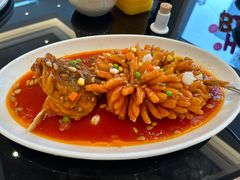 松子桂鱼-新南华大酒店(长寿店)