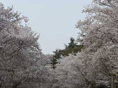 -苏宁钟山国际高尔夫酒店大堂酒廊