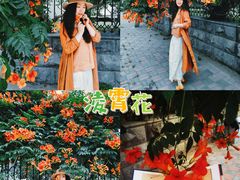 -东北大学(南湖校区)