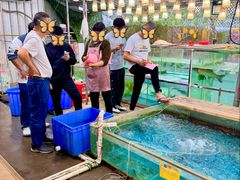 -卖鱼珍河鲜坊•一线江景园林餐厅