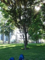 点击看大图 android_upload_pic-大望京儿童游乐场