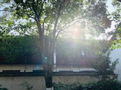 -乌镇东栅景区