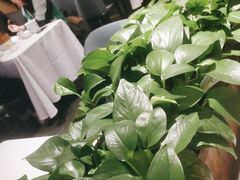 -眉州东坡(春秀路店)