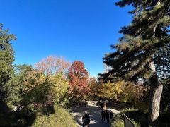 -香山公园