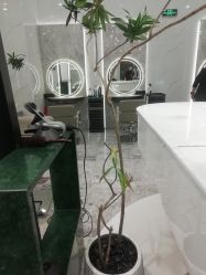 -MMbyHair Code芭曲发型