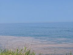 -一杯海(国际海水浴场店)