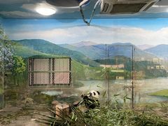 -上海野生动物园