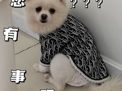 -怪兽屋·羊驼·猫咖·狗咖(俊华广场店)