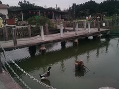 -海上田园