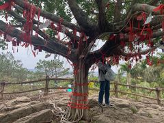 -漳州滨海火山岛自然生态风景区