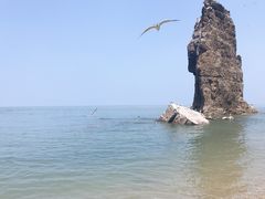 -海驴岛(荣成市)