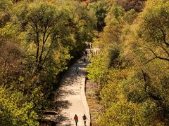 -北京西山国家森林公园