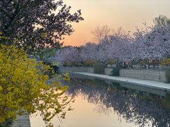 -元大都城垣遗址公园