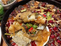 -老板恋上鱼(恒隆广场店)