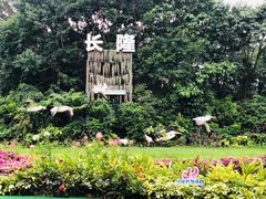 -广州长隆飞鸟乐园
