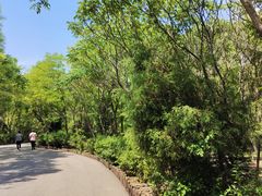 -塘沽森林公园