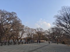 -北陵公园