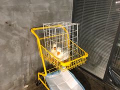 -浣熊柯尔鸭土拨鼠·电玩咖