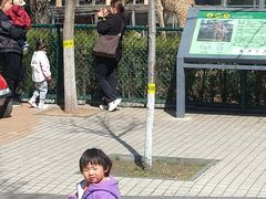 -石家庄市动物园