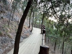 -佛慧山
