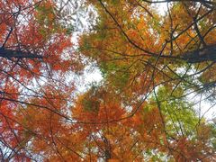 -白鹭湾湿地公园