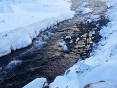 -峡谷浮石林景区