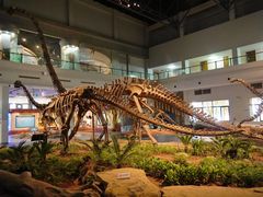 -自贡恐龙博物馆