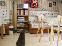 -Rabbit Cafe私房西餐甜点咖啡(栖霞路店)