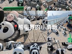 -星光大道