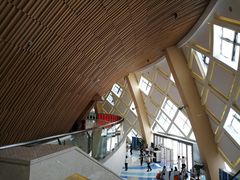 -重庆国际马戏城