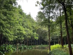 -尚湖风景区