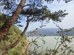 -羚羊峡古栈道森林公园