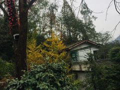 -亦缘居私家别院