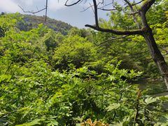 -阿哈湖国家湿地公园