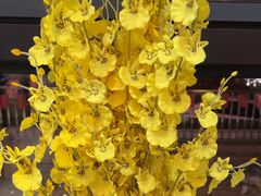 -全聚德(蓝山店)