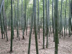 -陶祖圣境风景区