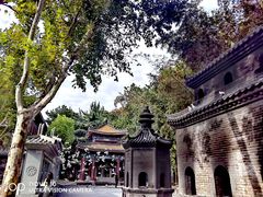-西安大兴善寺