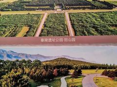 -秦始皇帝陵博物院(兵马俑)