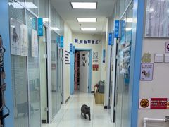 -全心全意连锁动物医院·微创中心·内科急重症·心脏专科(丰管路店)