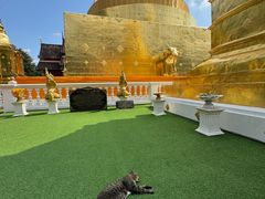-帕辛寺