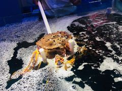 -蟹之国·精品蟹料理(极地店)