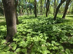 -玲珑塔公园