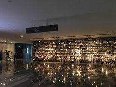 -武商摩尔影城(国广IMAX激光店)